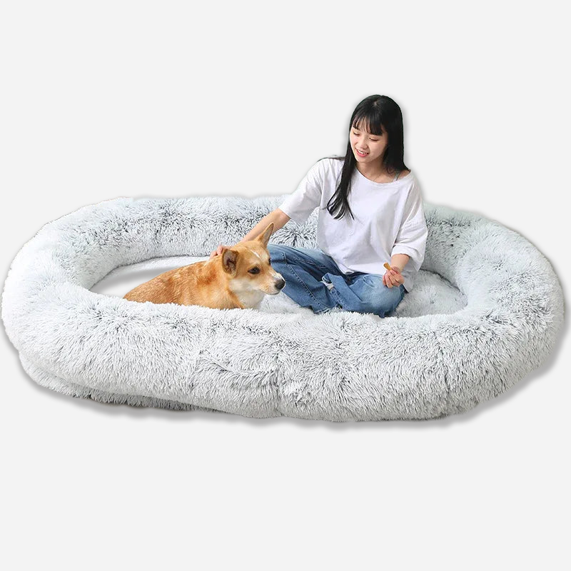 Calming Dog Bed | Orthopedic Foam Support | Raised Edges | Washable Plush Cover
