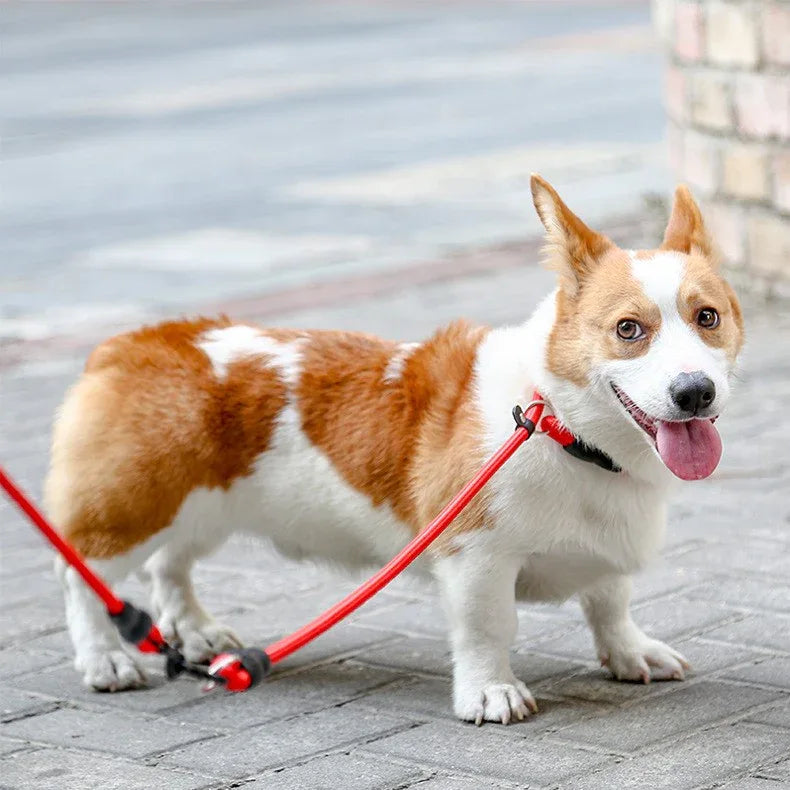 Nylon Treksluit Halsbanden Riem Voor Honden training Sliplead - Ruffy