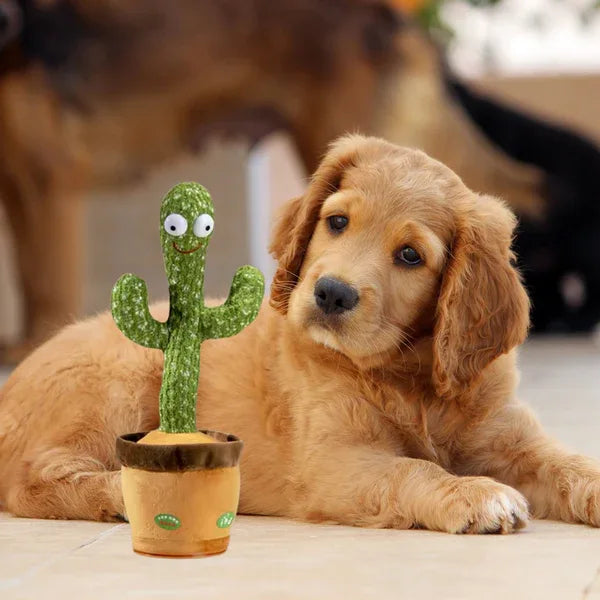 Pratende Cactus Voor Honden - Ruffy