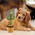 Pratende Cactus Voor Honden - Ruffy