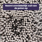 CleanPaw Mat - Honden Deur Schoonloopmat tegen Modder & Vieze Poten - Ruffy