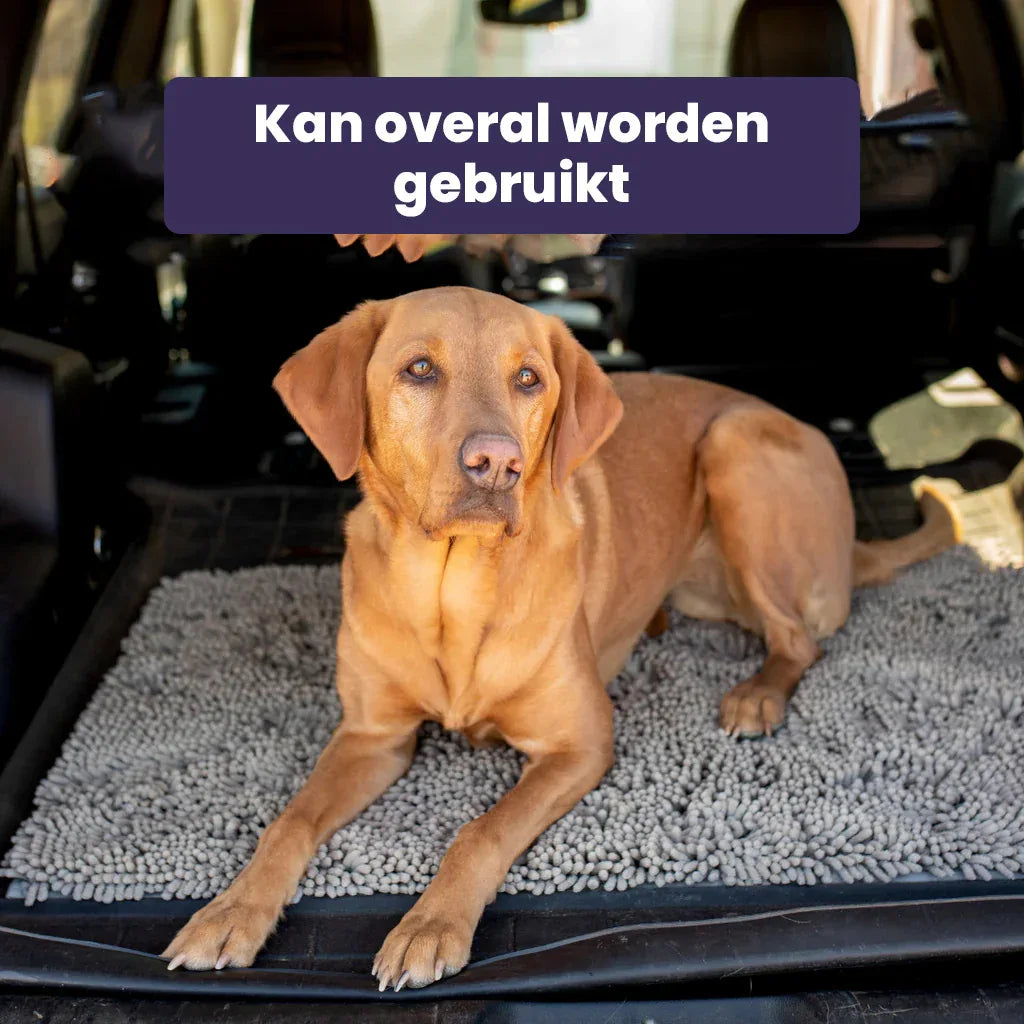 CleanPaw Mat - Honden Deur Schoonloopmat tegen Modder & Vieze Poten - Ruffy