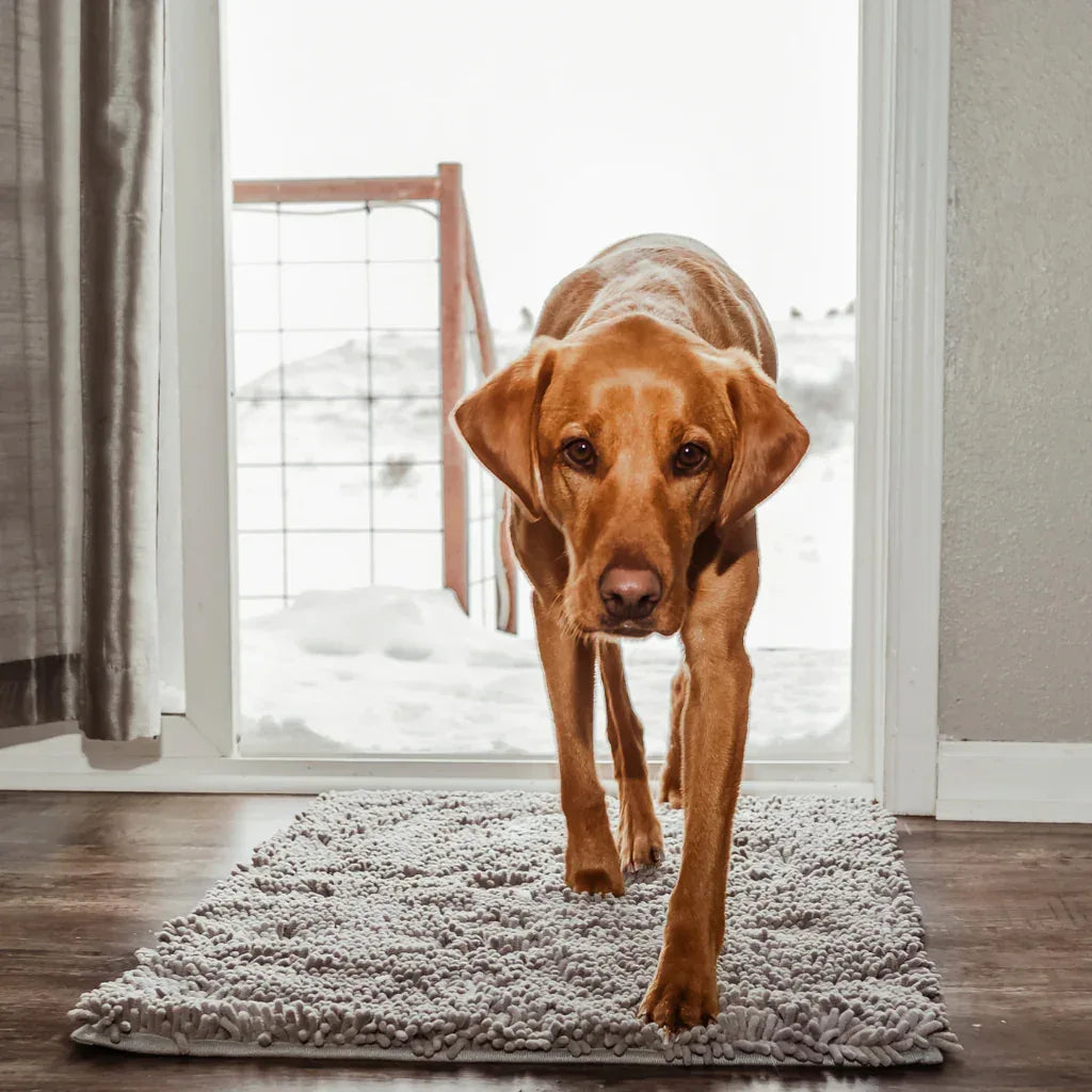 CleanPaw Mat - Honden Deur Schoonloopmat tegen Modder & Vieze Poten - Ruffy