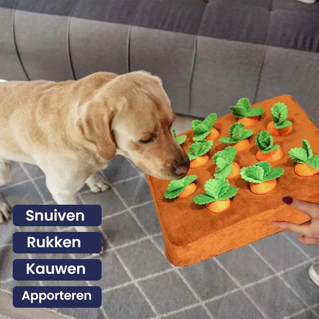 Wortelboerderij Interactief Snuffelspeeltje - Ruffy