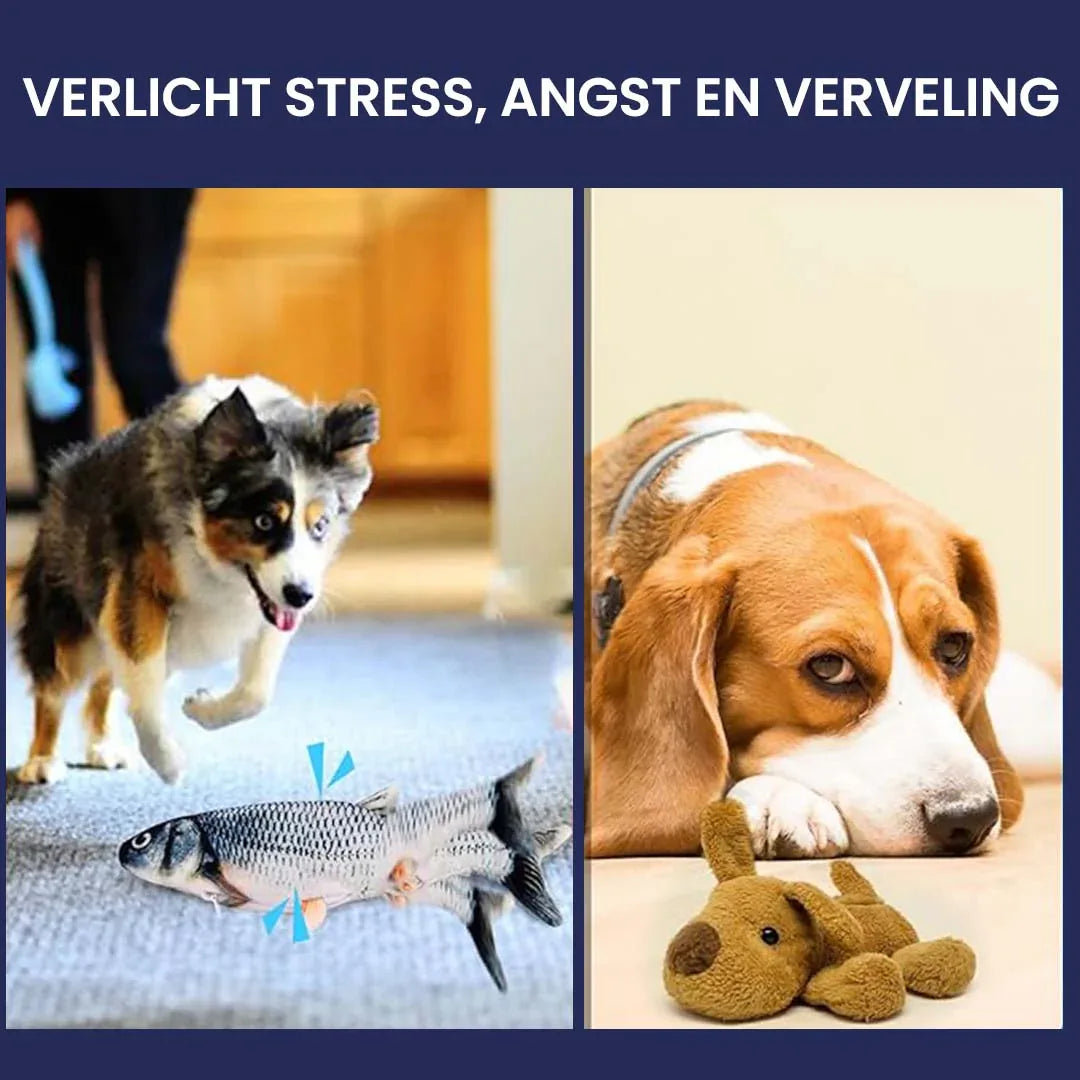 Interactieve Fidget Vis Hondenspeeltje - Ruffy