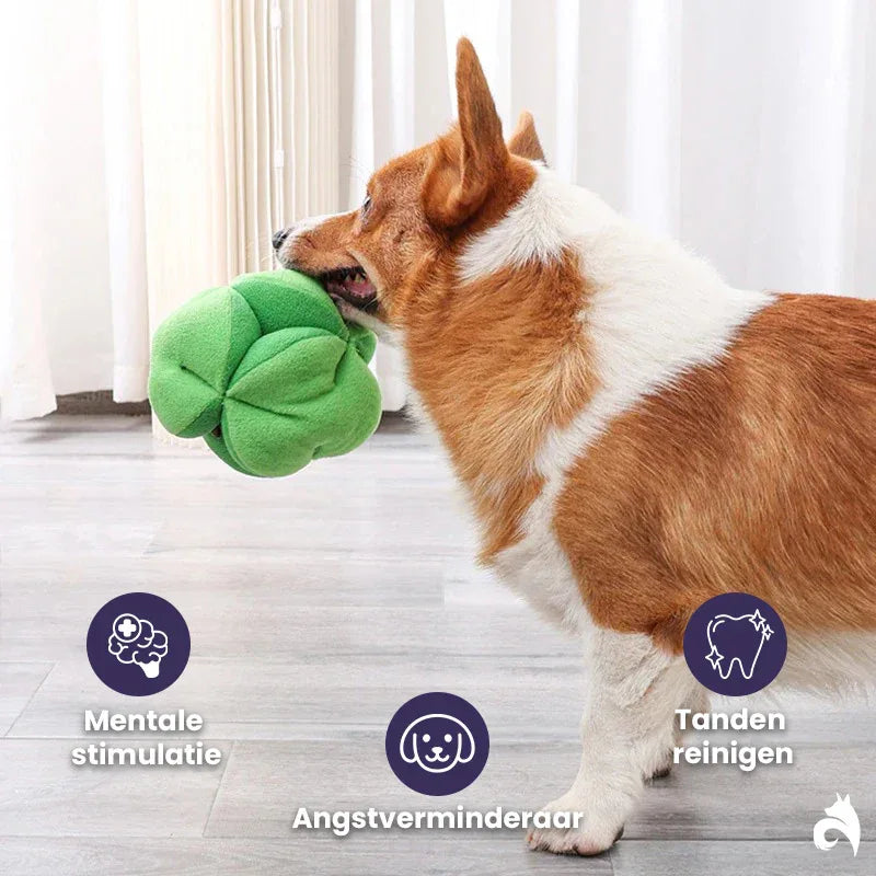 Snuffelende Broccoli Interactieve Traktatie Speelgoed - Ruffy