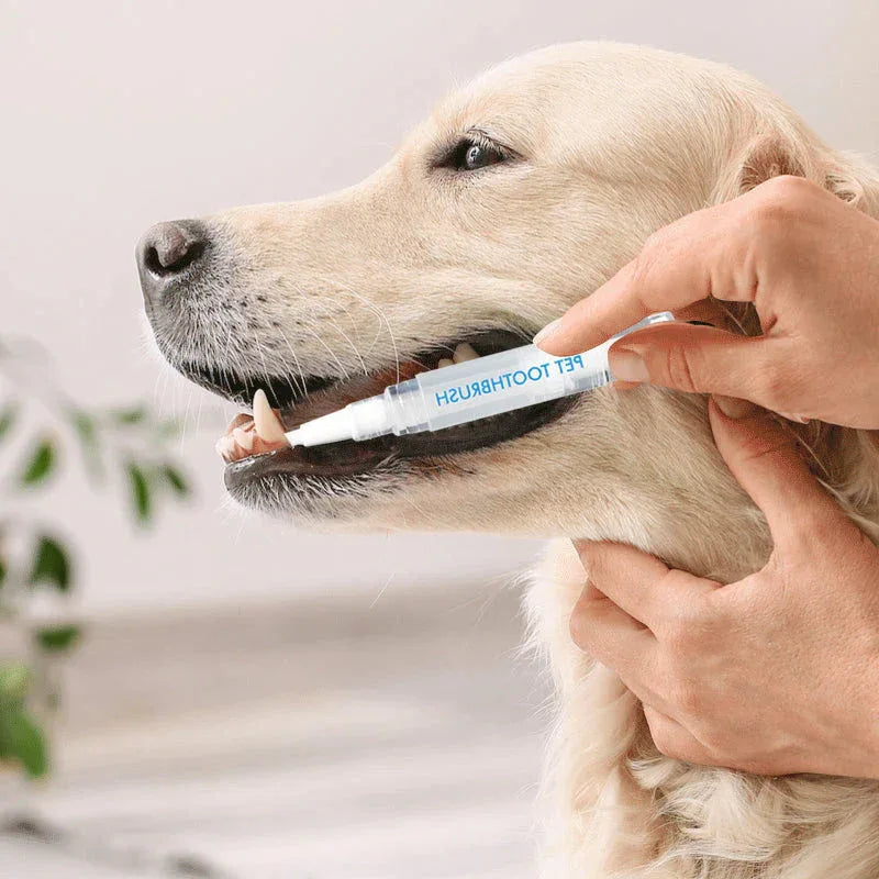 Pet Smile Tandverzorgingspen Voor Huisdieren - Ruffy