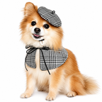 De Sherlock Pup-set