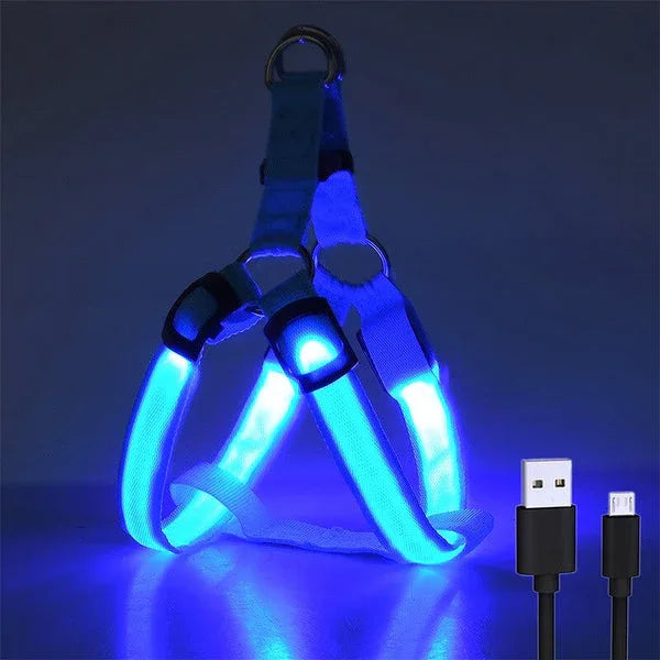 Hondentuig Lichtgevend USB Oplaadbaar - Ruffy