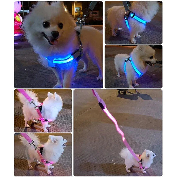 Hondentuig Lichtgevend USB Oplaadbaar - Ruffy