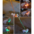 Hondentuig Lichtgevend USB Oplaadbaar - Ruffy