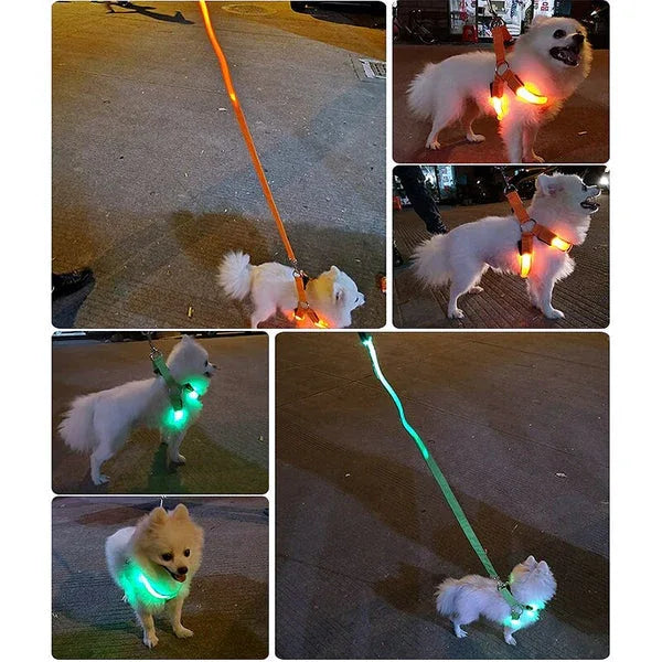 Hondentuig Lichtgevend USB Oplaadbaar - Ruffy