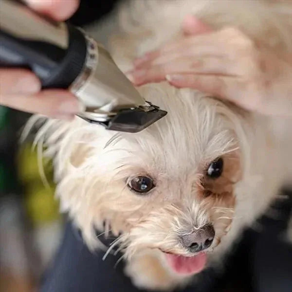 Honden Verzorgingsset | Ultrastille Draadloze Trimmer - Ruffy