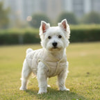 Kleine Honden Winterjas | Windichte Gevoerde Jas | Warm & Knus - Ruffy