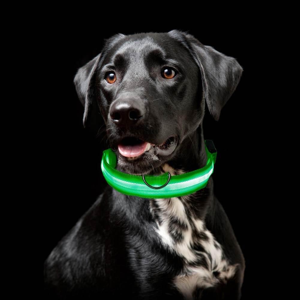 Lichtgevende LED Halsband - Ruffy