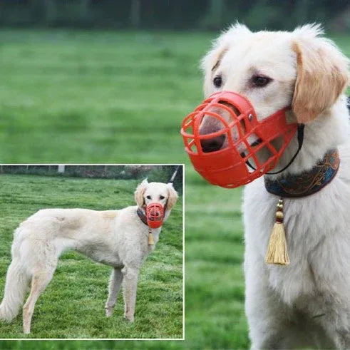 Honden muilkorf met kleur - Ruffy