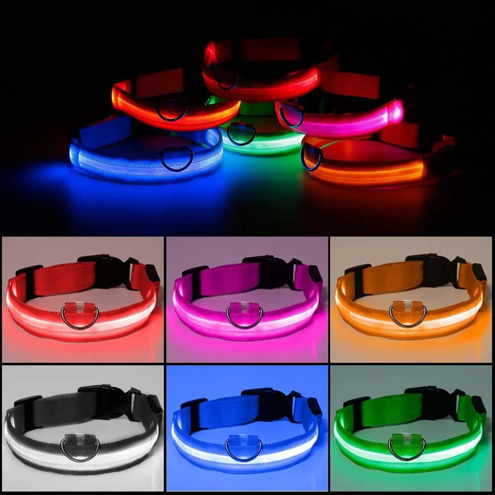 Lichtgevende LED Halsband - Ruffy