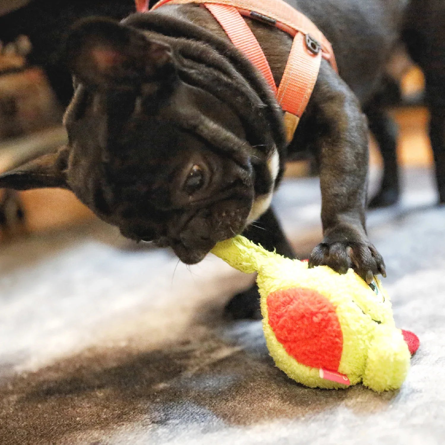 Hond Speelgoed Monster Interactief - Ruffy