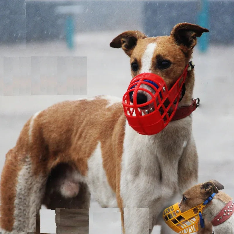 Honden muilkorf met kleur - Ruffy