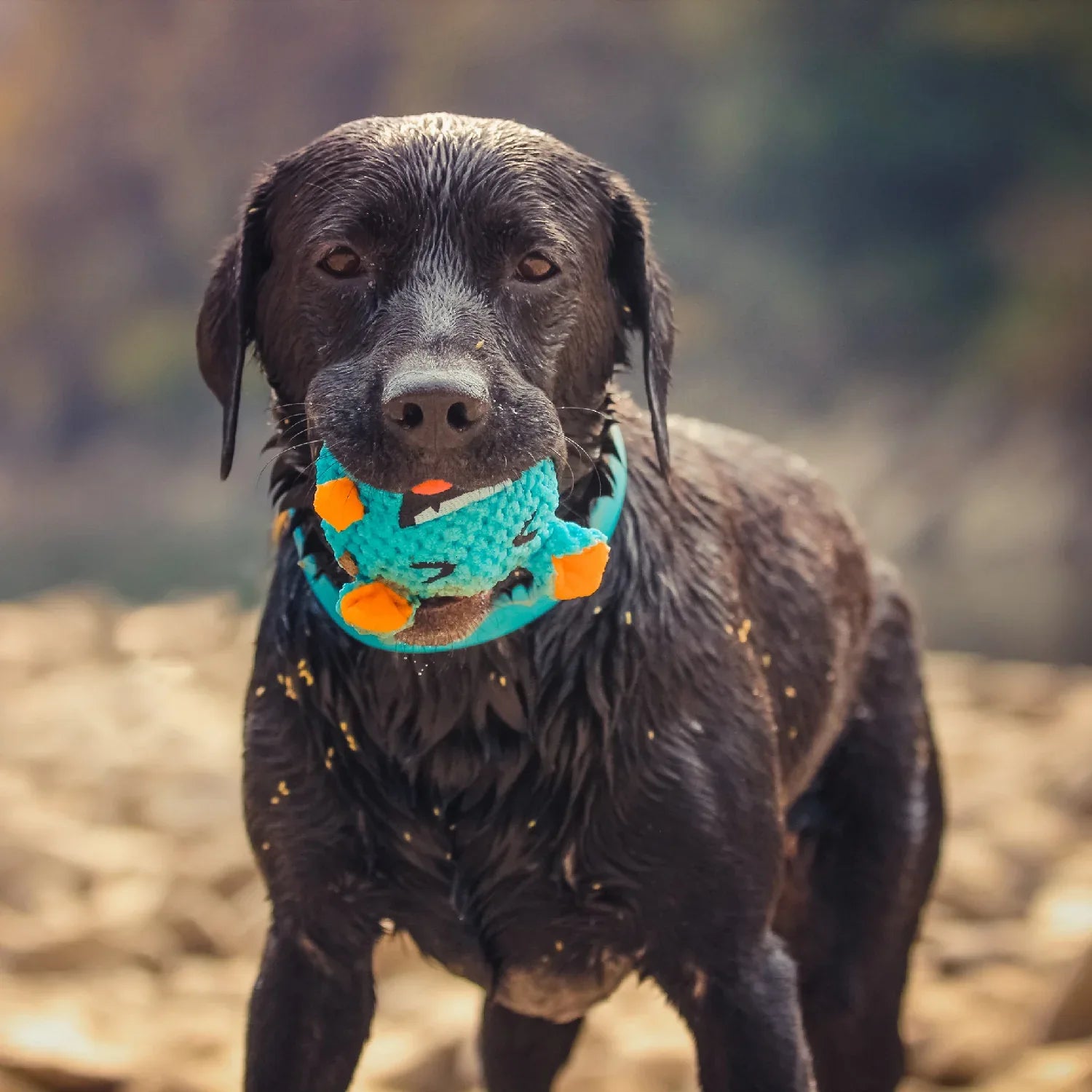 Hond Speelgoed Monster Interactief - Ruffy