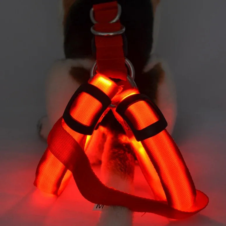 Hondentuig Lichtgevend USB Oplaadbaar - Ruffy
