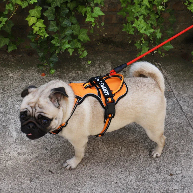 Gepersonaliseerd Reflecterend Antitrek Hondentuig - Ruffy