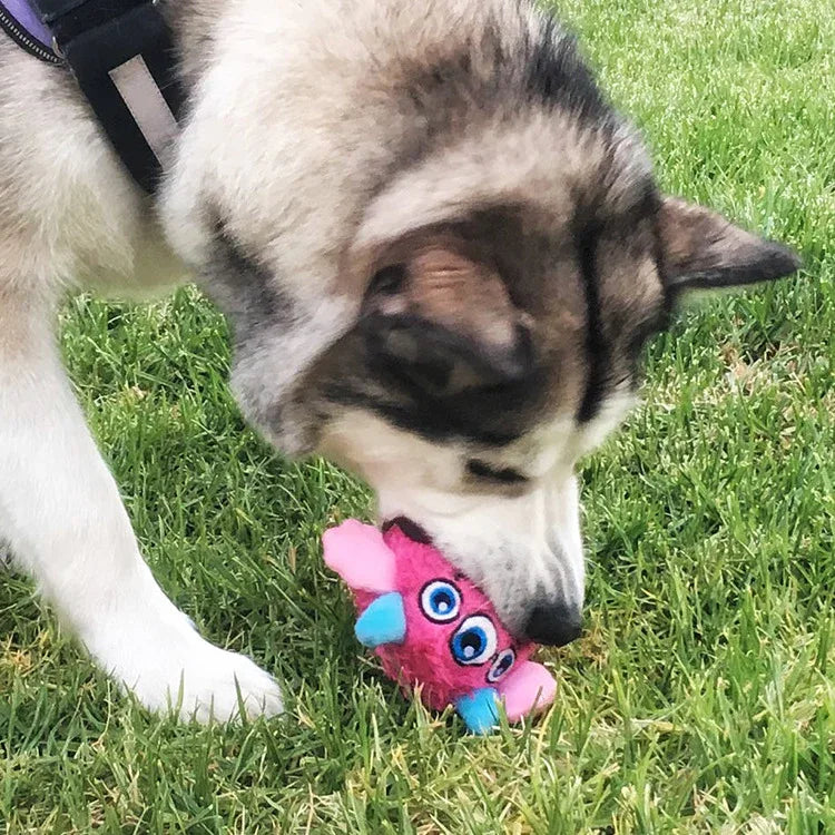 Hond Speelgoed Monster Interactief - Ruffy