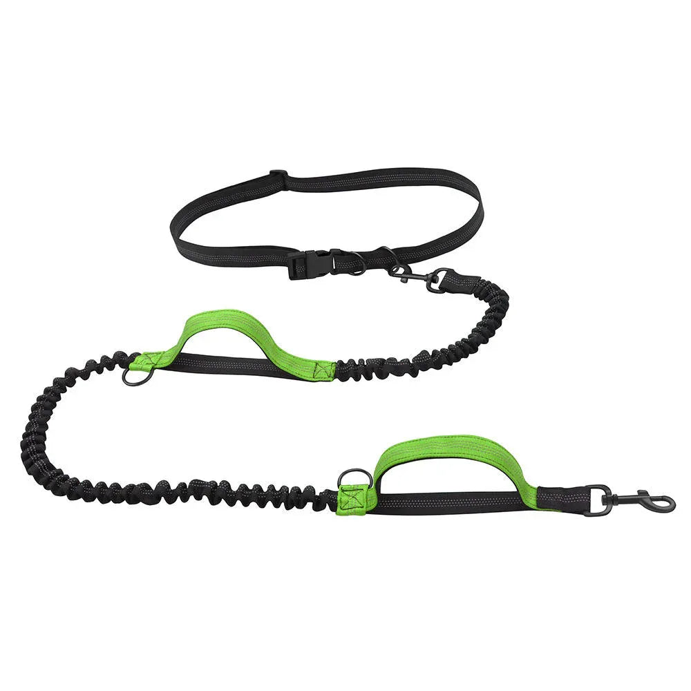 Handsfree Hondenriem Dubbele Handgrepen Elastisch - Ruffy