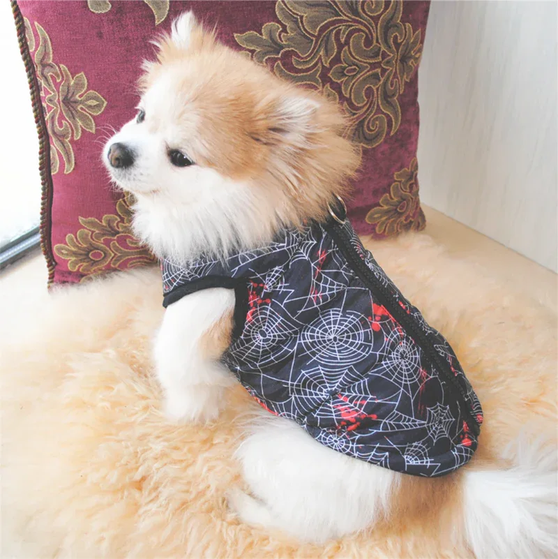 Warme Winterjas Voor Kleine Honden Met Print - Ruffy