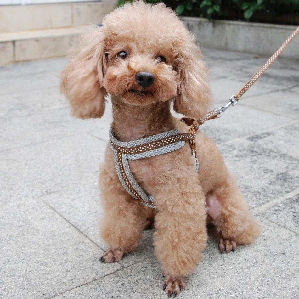Reflecterend Ademend Mesh Harnas Voor Kleine Honden Veiligheid Comfort Verstelbaar Nylon Zinken Legering Haak - Ruffy