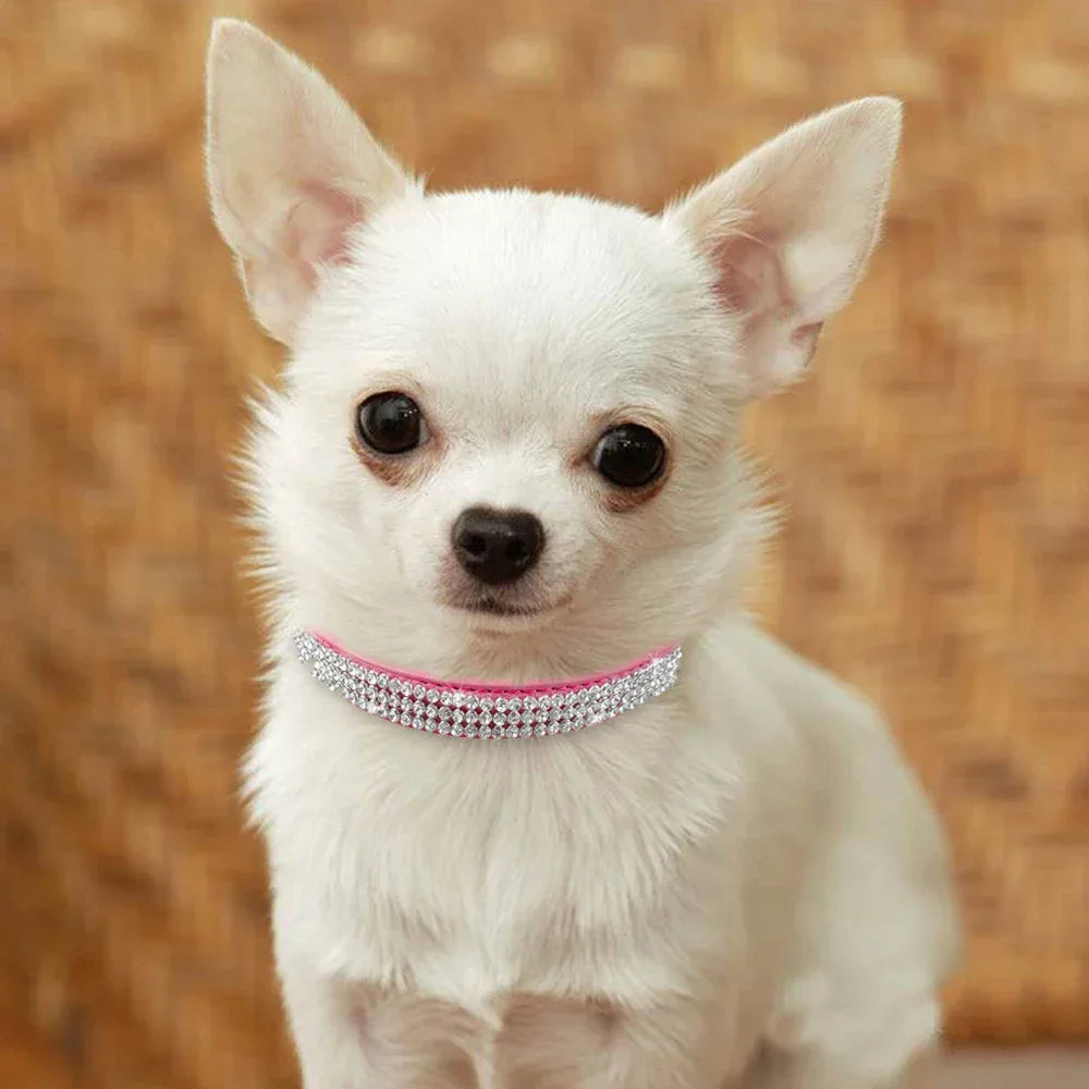 Strass Suède Kleine Honden Halsband - Ruffy