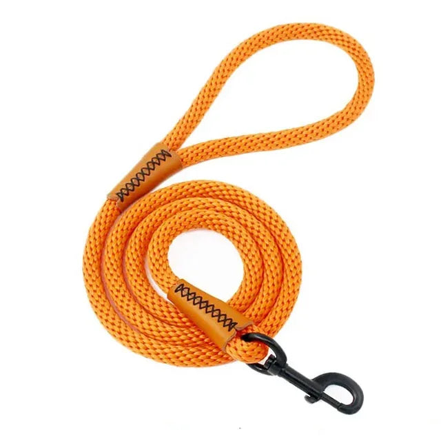 Hondenriem | Zware Nylon Touw | Veilige Vergrendelingshaak - Ruffy