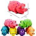 Squeaky Leuk Varken Hondenspeelgoed - Ruffy