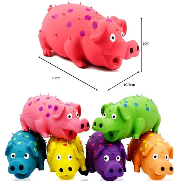 Squeaky Leuk Varken Hondenspeelgoed - Ruffy