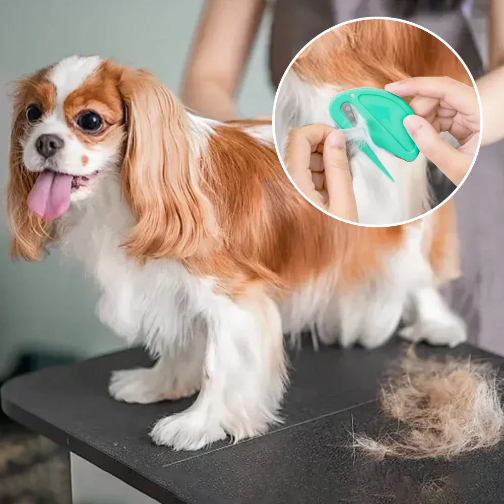 Honden Anti-Klitten Kam Hondenverzorging - Ruffy