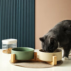 Verhoogde Huisdier Voerbak Set | Antislip Houten Standaard | 2 Afneembare Keramische Bakken - Ruffy