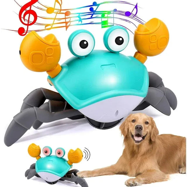 Dansende Krab Interactief Hondenspeelgoed - Ruffy
