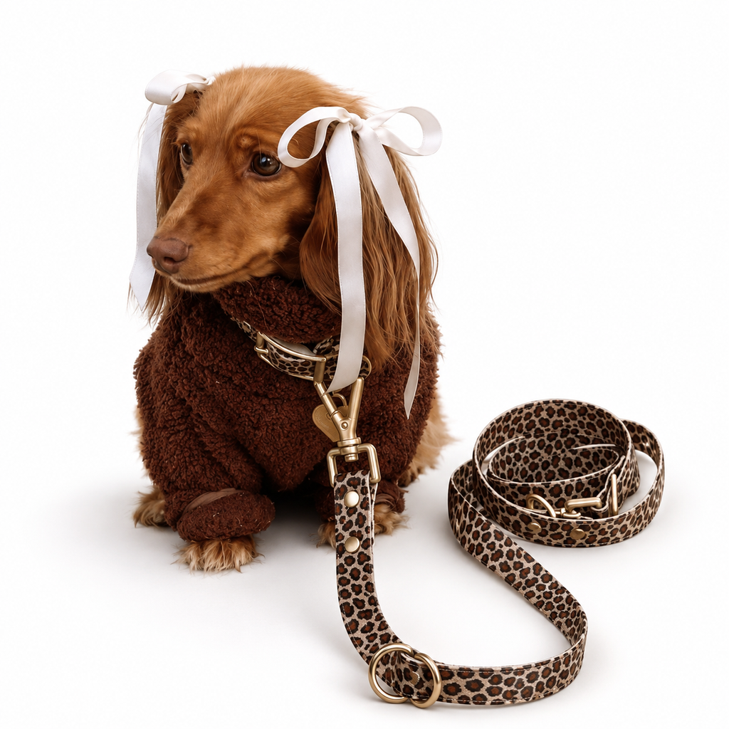 Ruffy Leopard-wandelriem