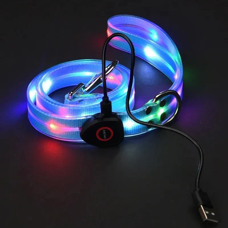 LED-Up Leash Verlichte Hondenriem USB Oplaadbaar Veilig Zichtbaar Duurzaam PVC Ergonomisch Handvat - Ruffy