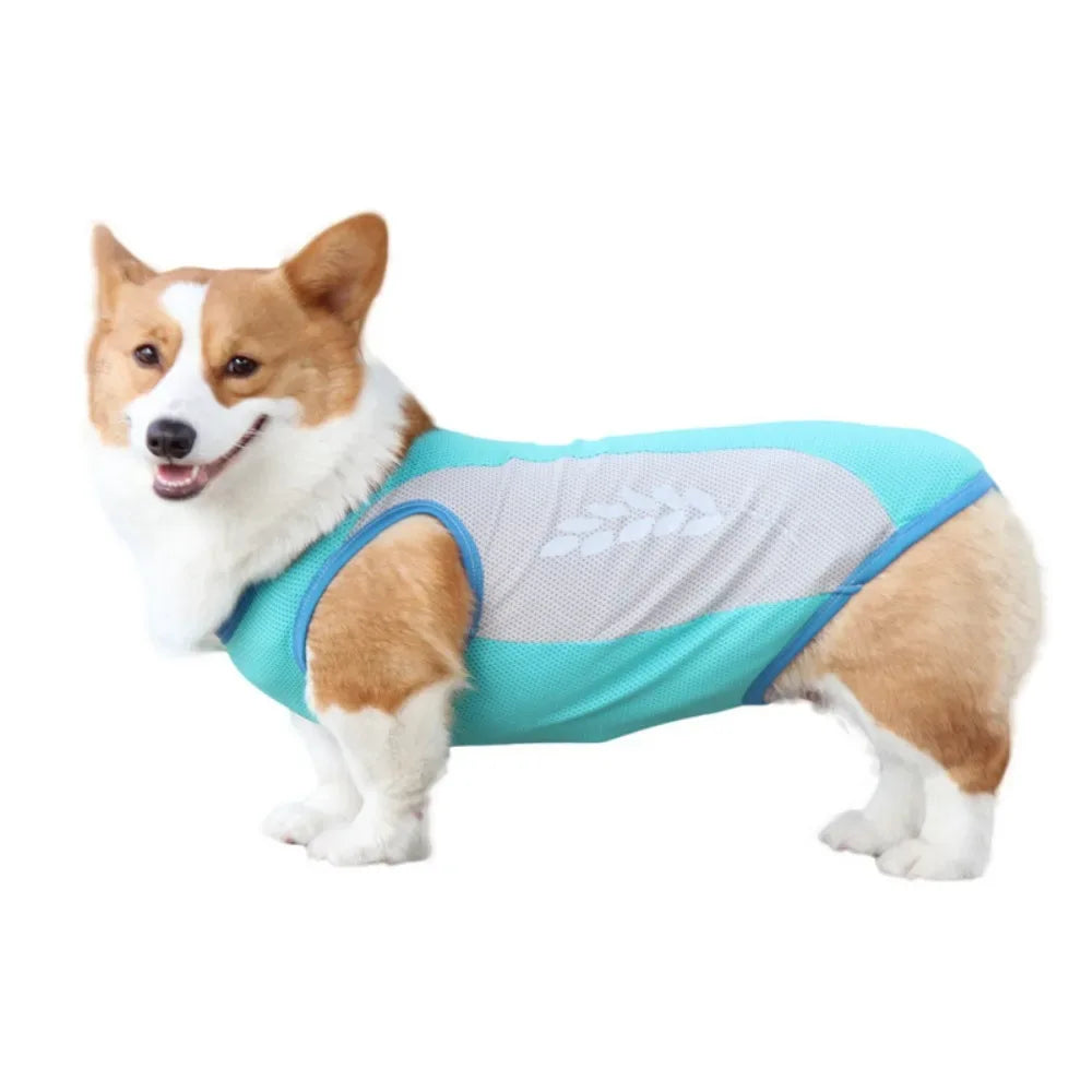 Ademend Koelvest voor Honden Reflecterend Lichtgewicht Sneldrogend Beschikbaar in M tot 11XL - Ruffy