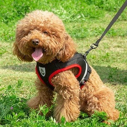 Reflecterend Hondenharnasvest Ademend Gaas Verstelbare Pasvorm Duurzaam Nylon Veiligheid Voor Kleine en Middelgrote Honden - Ruffy