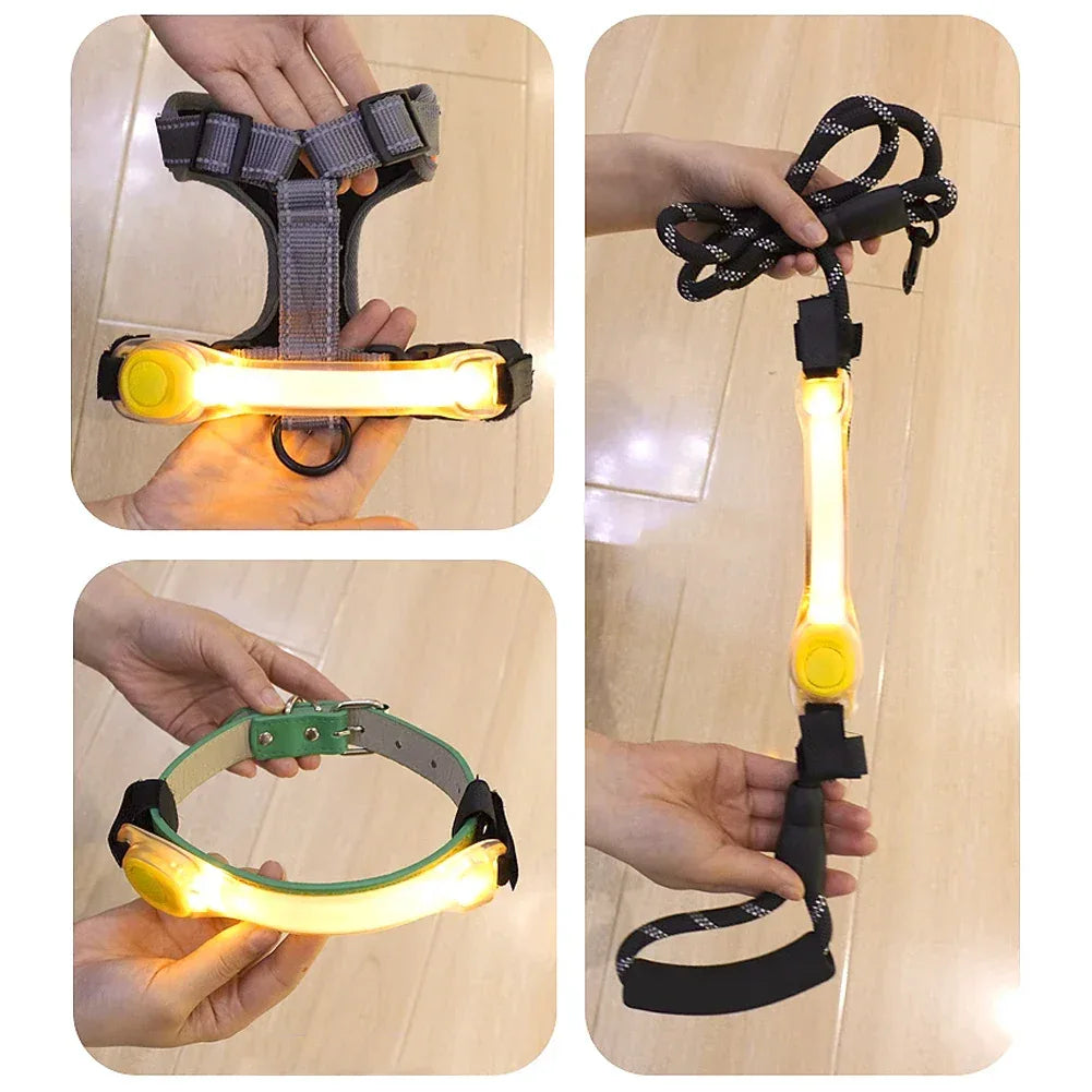 Lichtgevende Honden Halsband LED Veiligheid - Ruffy