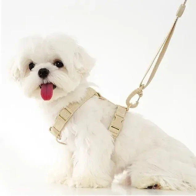 Lichte Kleur Hondentuig Leiband Set Voor Kleine Honden - Ruffy