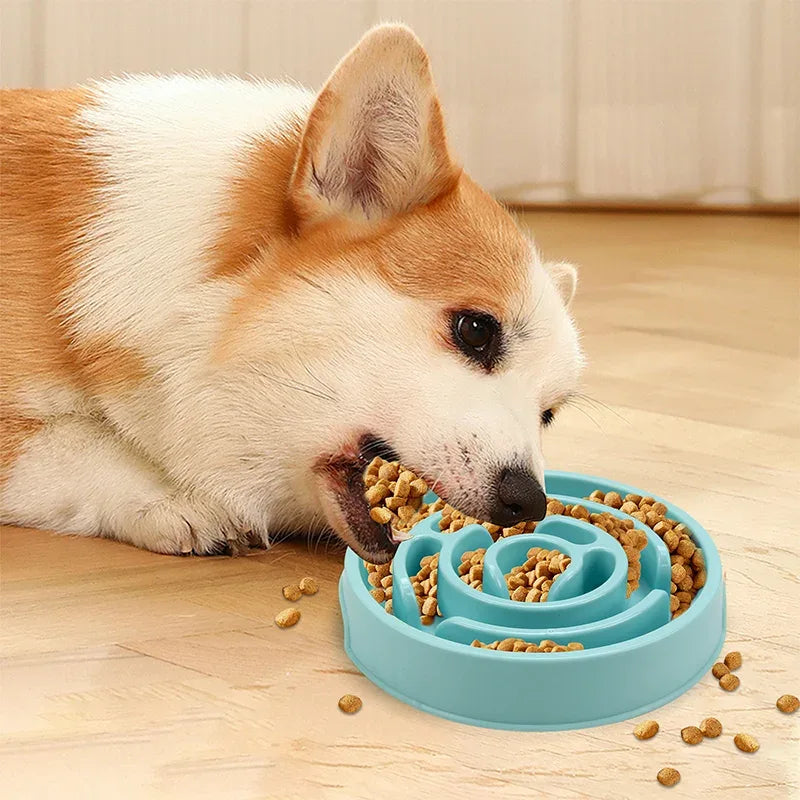 Langzame voerbak voor honden en katten Bevordert gezond eten Duurzaam PP Plastic 20cm Diameter - Ruffy