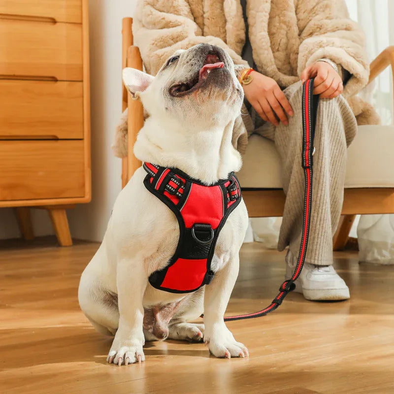 Trekvrij Hondenharnas Duurzaam Verstelbaar Comfortabel Met Reflecterende Stiksels Beschikbaar in S tot XL - Ruffy