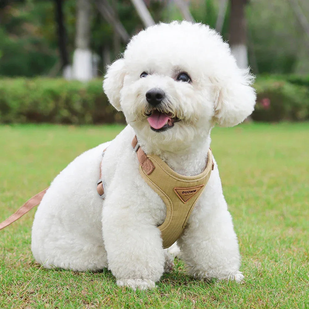 Kleine Honden Tuig Pastel Kleuren - Ruffy