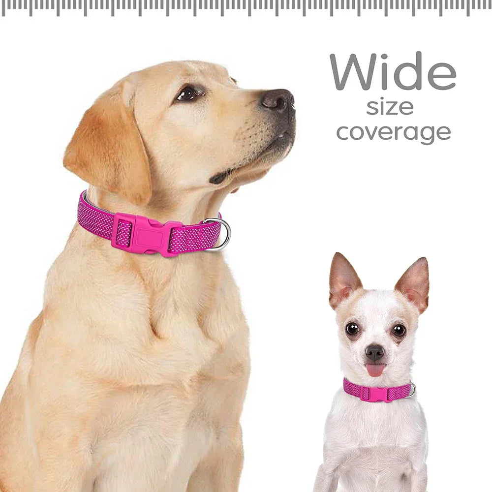 Reflecterende nylon hondenhalsband met verstelbare pasvorm voor kleine tot grote honden Duurzaam en ademend voor nachtelijke wandelingen - Ruffy