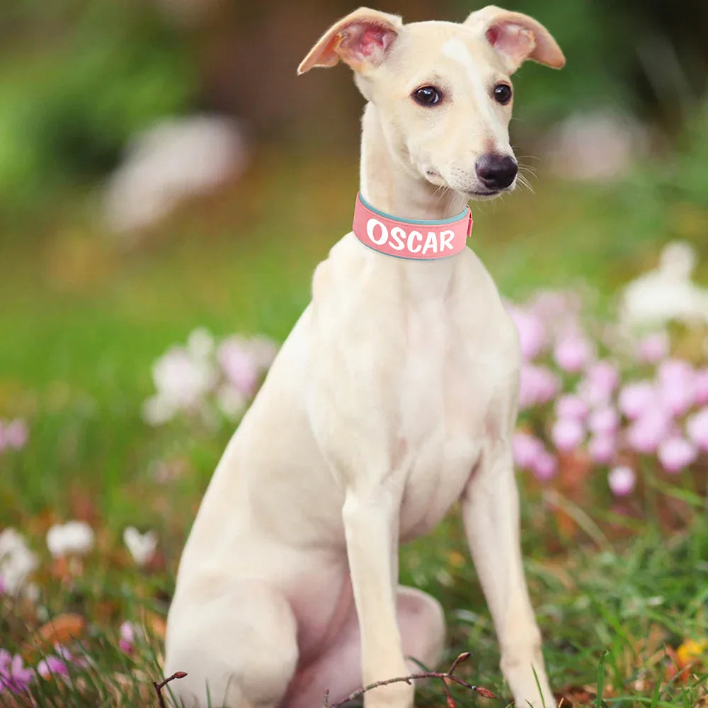 Brede Gepersonaliseerde Hondenhalsband - Ruffy