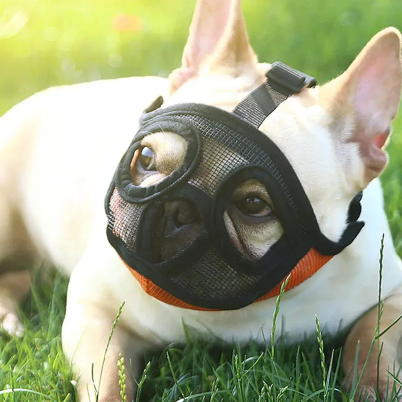 Verstelbare nylon snuit voor honden met platte snuit. Comfortabel ademend ontwerp voor veiligheid en training - Ruffy