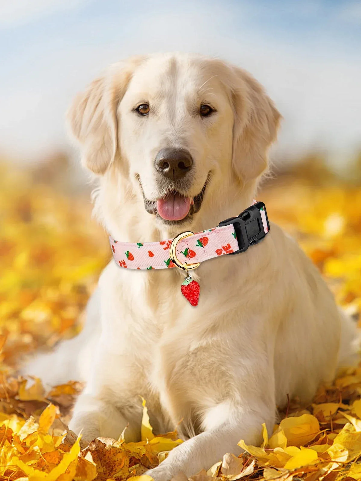 Duurzame halsband met fruitpatroon en metalen bedeltje Comfortabel polyester voor alle seizoenen - Ruffy